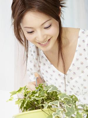 天神で行える再生医療を使った美容治療